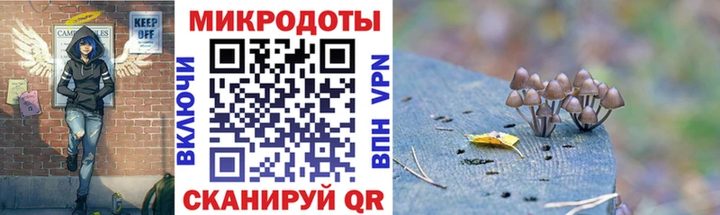 Галлюциногенные грибы мицелий  Ленинск-Кузнецкий 